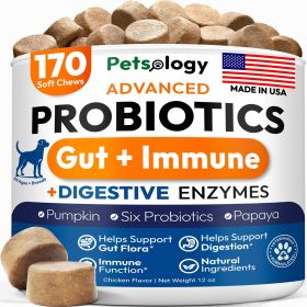 Probiotics for Dogs 170 Dog Probiotics Chews Digestive Enzymes & Prebiotics Support Gut Health Diarrhea Gas & Constipation Relief Itchy Skin Alle