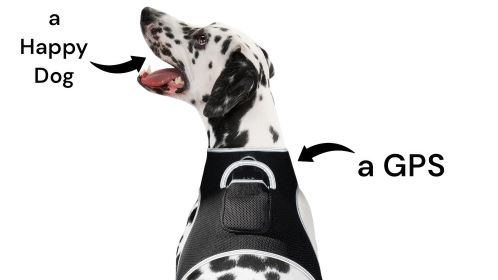 GPS Tag Pet Tracker Collar Waterproof Surveillance Tracking Device NEW Size:XS