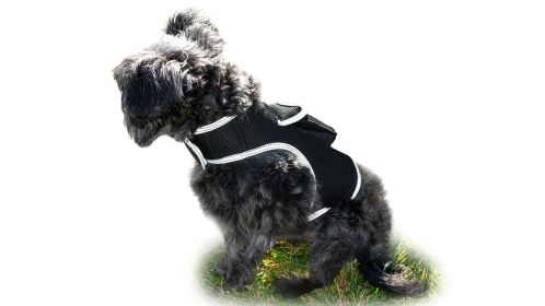 Realtime Pet Tracking w/ Pet Tracker GSM GPS Collars for Dogs Waterproof Size:L